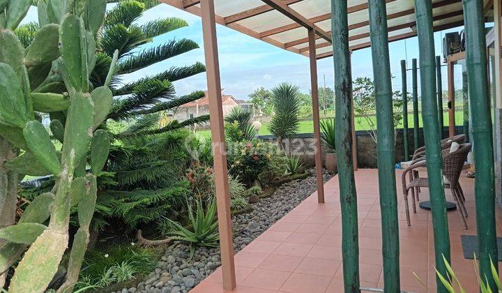 Rumah fully furnished model modern tropical di Ganjuran cocok untuk homestay atau hunian pribadi 11