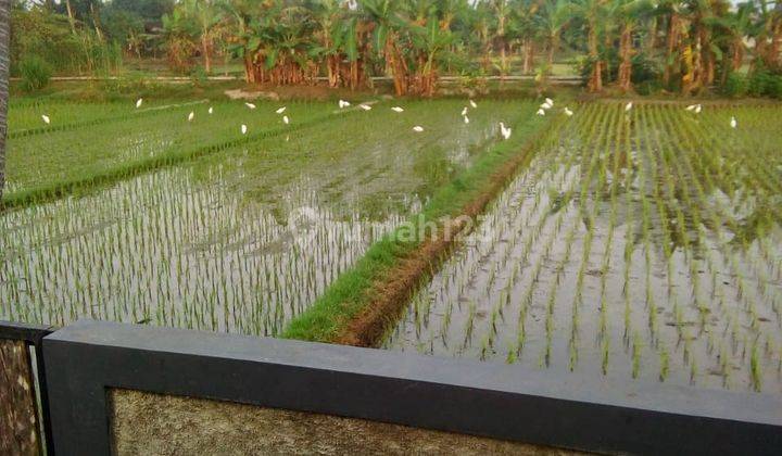 Rumah fully furnished model modern tropical di Ganjuran cocok untuk homestay atau hunian pribadi 21