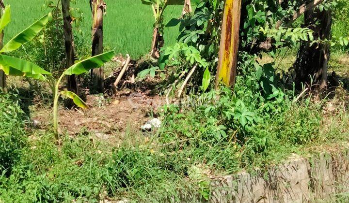 Tanah Lokasi Pinggir Jalan Nasional 3, Temon Wates Dekat Bandara Yia, Cocok Untuk Gudang, Kantor Atau Berbagai Usaha 4