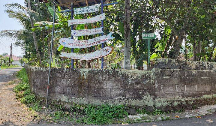 Tanah Pekarangan di Caturharjo Cocok Untuk Dibuat Perumahan Atau Gudang 2