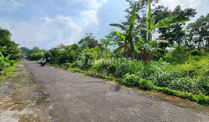 Tanah Murah Di Pules Kidul, Donokerto, Kec. Turi, Lokasi Sejuk Dan Nyaman, Cocok Untuk Hunian Atau Investasi 1