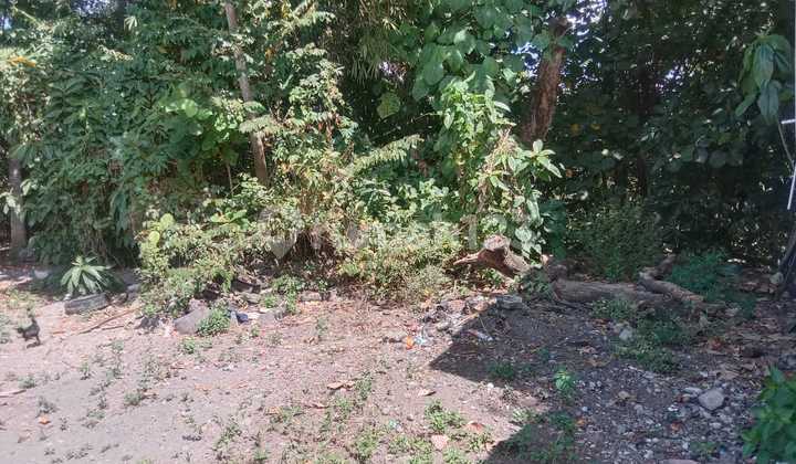 Tanah Murah Di Maguwoharjo Cocok Untuk Hunian