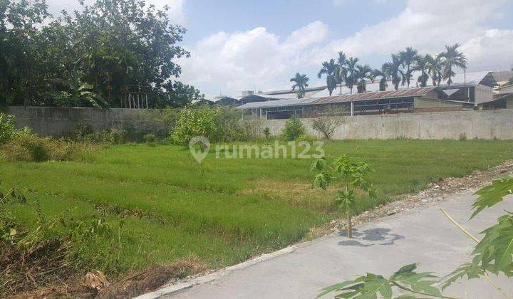 Tanah Pekarangan Di Kragilan Dalam Ring Road , Dekat Sindu Kusuma Edupark Cocok Untuk Hunian, Rumah Kost Atau Investasi 1