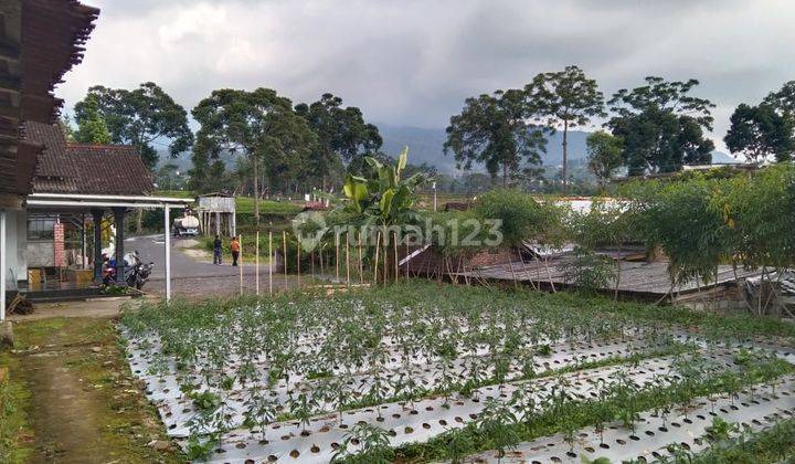 Tanah Pekarangan Strategis & Prospektif, Lokasi Di Area Wisata Kemuning, Ngargoyoso, Cocok Untuk Villa, Penginapan Atau Resto 1