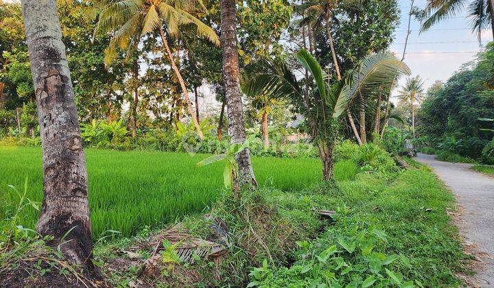 Tanah Lokasi Bagus, View Sawah Cocok Untuk Gudang, Perumahan Atau Perkebunan 2