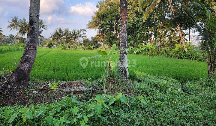 Tanah Lokasi Bagus, View Sawah Cocok Untuk Gudang, Perumahan Atau Perkebunan 1