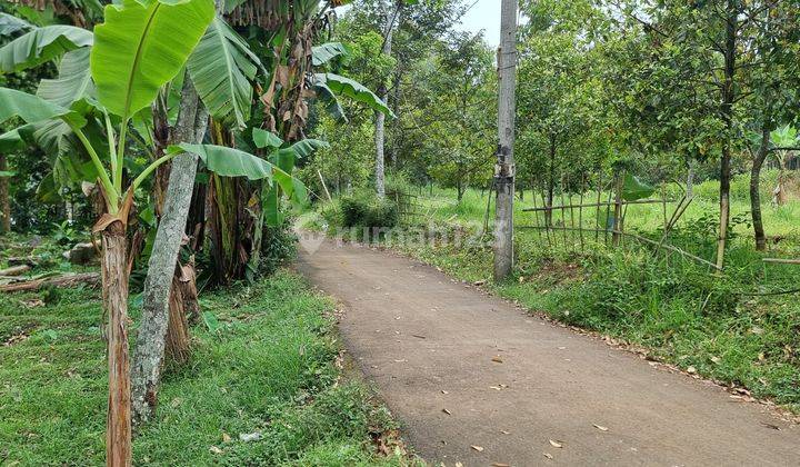 Tanah Kebun Durian Dan Alpukat 750mtr.shm  Sekitar Rancamaya Ciawi Bogor. Tidak Jauh Dari Pintu Toll Ciawi Atau Dari Pintu Toll Bocimi 1