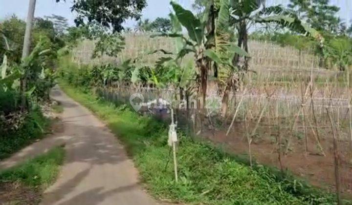 TANAH KEBUN DEKAT PEMUKIMAN 20 MENIT DARI PINTU TOLL BOCIMI PARUNGKUDA SUKABUMI.JUAL MURAH BUTUH CEPAT 2