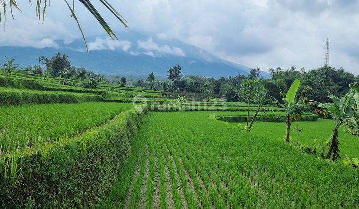 Tanah Kebun Sawah Terbaik Diarea Ini.10 Menit Dari Pintu Toll Cigombong Lido Bogor.best View.nempel Kali Jernih.bisa Ambil Sebagian