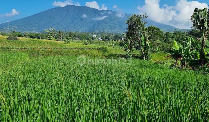 Tanah Kebun Sawah Terbaik Diarea Ini.10 Menit Dari Pintu Toll Cigombong Lido Bogor.best View.nempel Kali Jernih.bisa Ambil Sebagian 2