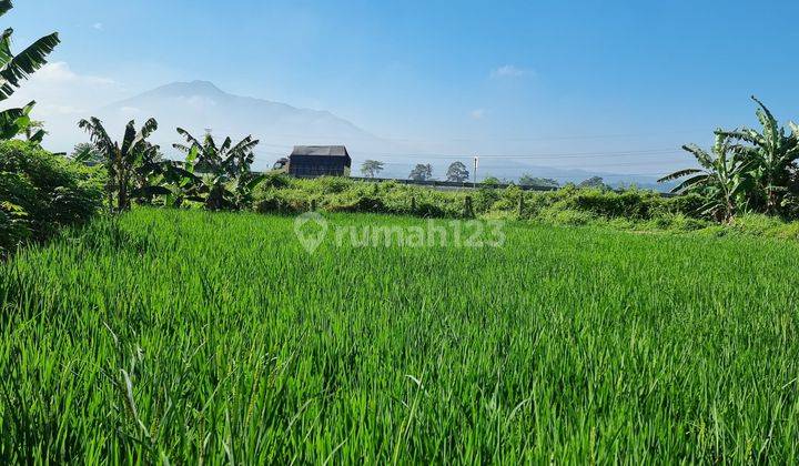 Tanah Kebun Sawah Terbaik Diarea Ini.10 Menit Dari Pintu Toll Cigombong Lido Bogor.best View.nempel Kali Jernih.bisa Ambil Sebagian 2