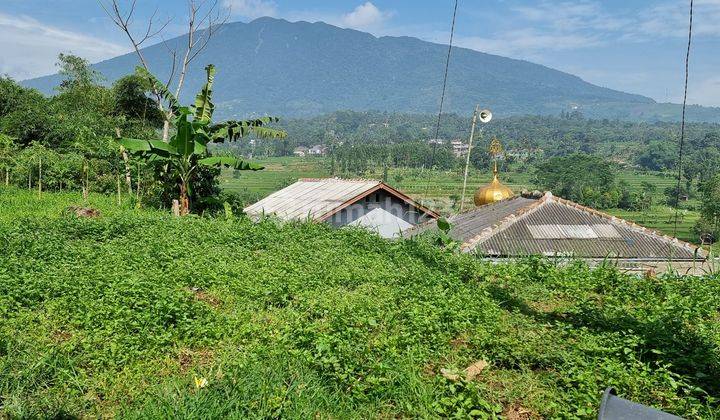 Tanah Kebun Sawah Terbaik Diarea Ini.10 Menit Dari Pintu Toll Cigombong Lido Bogor.best View.nempel Kali Jernih.bisa Ambil Sebagian 2