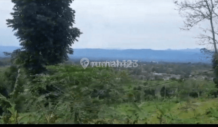 Tanah strategis subur.3menit dari jl nasional.view bagus.air berlimpah cugenang cianjur 2