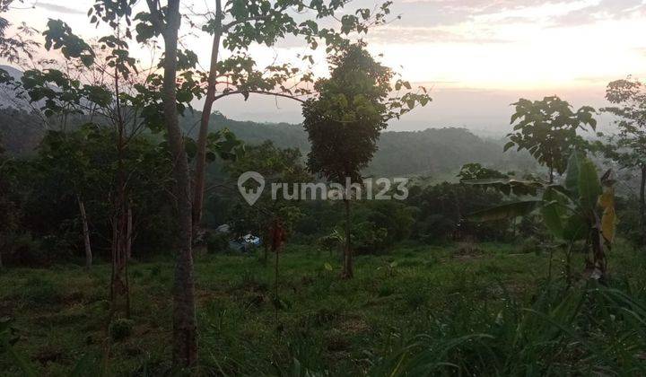 Tanah strategis hanya 700meter dari jln raya provinsi SHM 2