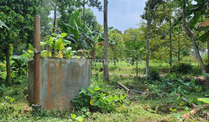 Tanah Kebun Durian Dan Alpukat 750mtr.shm  Sekitar Rancamaya Ciawi Bogor. Tidak Jauh Dari Pintu Toll Ciawi Atau Dari Pintu Toll Bocimi 2