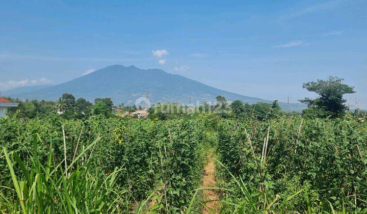 Tanah Lokasi Favorit 10menit Dari.pintu Toll.caringin Bogor.view Gunung,nempel Kali Tanah di Caringin 7500.0 m² Girik 2