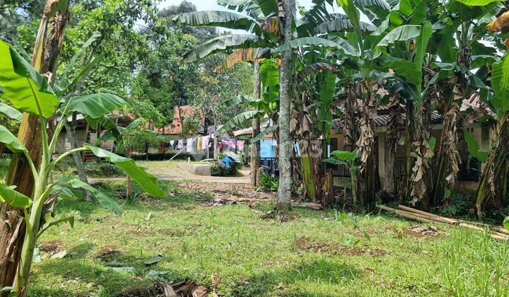 Tanah Kebun Durian Dan Alpukat 750mtr.shm  Sekitar Rancamaya Ciawi Bogor. Tidak Jauh Dari Pintu Toll Ciawi Atau Dari Pintu Toll Bocimi 2