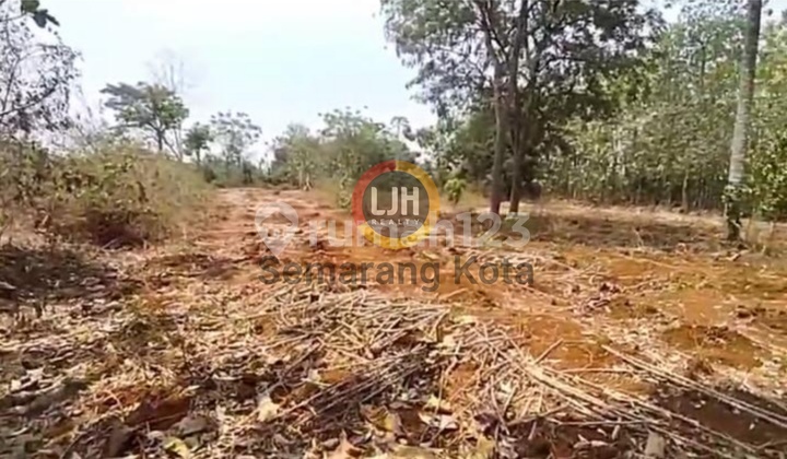 Kavling Di Mlonggo, Jepara