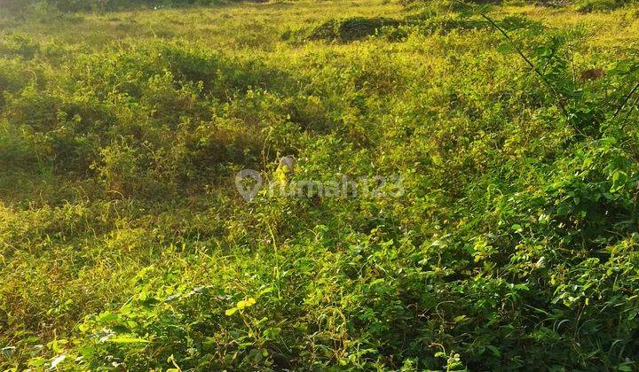 Tanah dijual di pinggir jalan poros moncongloe 14
