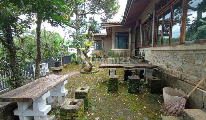 TURUN HARGA !!RUMAH MEGAH DI BUKIT PAKAR TIMUR DAGO 1