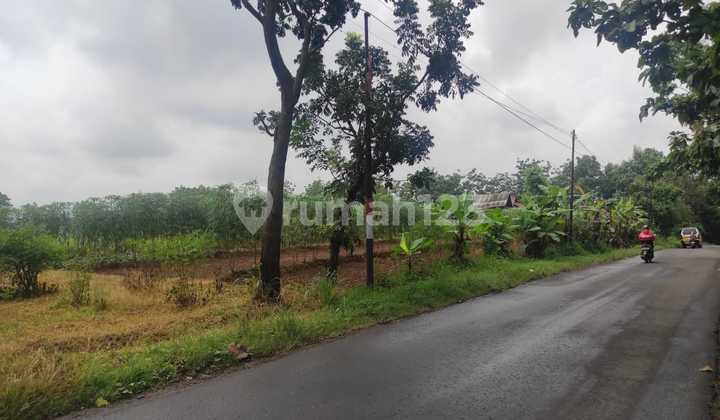 Tanah SHM luas 2ha dekat bandara kertajati di gandasari, kasokandel - majalengka Tanah SHM luas 2ha dekat bandara kertajati di gandasari, kasokandel - majalengka