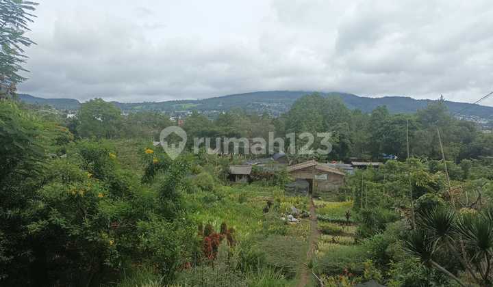 Tanah SHM di Jalan Utama Sersan Bajuri Dekat Graha Puspa, Parongpong