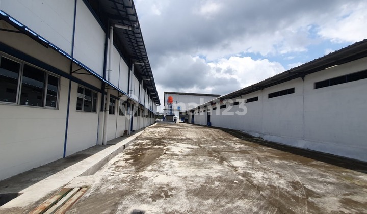 Quick Sale!! Good Condition Factory Building in Boja Kendal, Central Java, Land Area 10,352 m², Building Area 5,500 m². Access from Jl. Besar Semarang Boja, 600m in. 4'' Containers Can Enter. 45 Minutes to Port. 20 Minutes to Port. 20 Minutes to Port. 10 Minutes to BSB. 5 Minutes to Cangkiran Terminal. Quick Sale!! Good Condition Factory Building in Boja Kendal, Central Java, Land Area 10,352 m², Building Area 5,500 m². Access from Jl. Besar Semarang Boja, 600m in. 4'' Containers Can Enter. 45 Minutes to Port. 20 Minutes to Port. 20 Minutes to Port. 10 Minutes to BSB. 5 Minutes to Cangkiran Terminal.