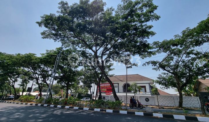 JUAL Tanah HM DI NGALIYAN RAYA LEBAR 46 , ADA VIEW ,LOKASI BAGUS, SISI JL yg RAMAI jam plg kerja 2