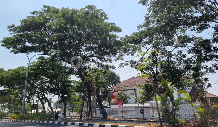 JUAL Tanah HM DI NGALIYAN RAYA LEBAR 46 , ADA VIEW ,LOKASI BAGUS, SISI JL yg RAMAI jam plg kerja 1