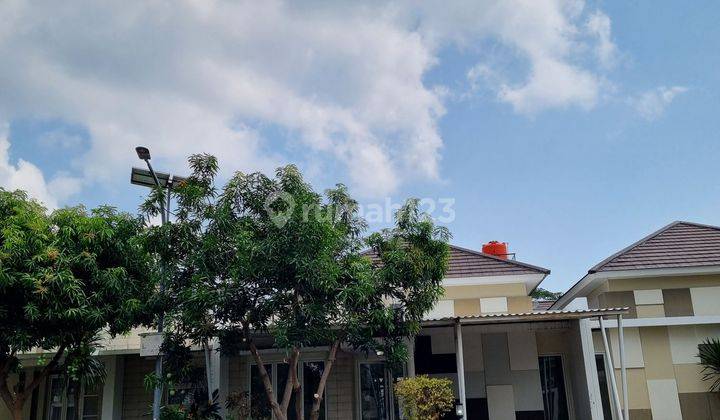 JUAL RUMAH DI GRAHA PADMA CLUSTER RAFLESSIA SHM Bagus...baru di Renovasi  1