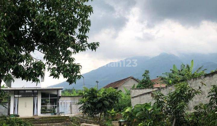 Tanah kebun dgn Rumah cabin fully furnish  dan kebun buah di Ungaran Nyatnyono, udah pagar keliling tinggi 3 meter , ada view gunung  1