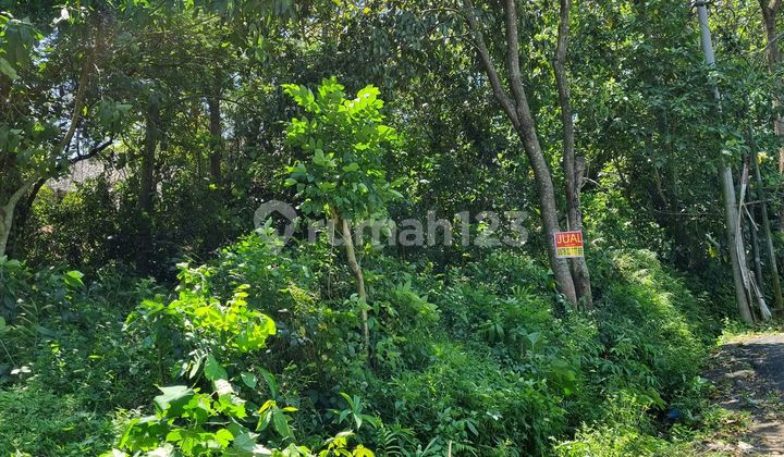 Tanah Jual Cepat !! Kavling Griya Siswa / Tinjomoyo Dekat Sekali Ke Kampus Unika Semarang, Lt.1070,ngantong!! Pas Dibuat Kost!  2