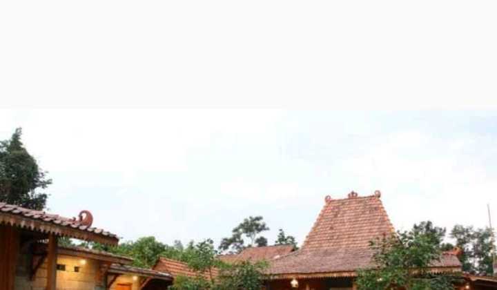 Serious Quick Sale! Cheap! Antique Joglo House on Jl. Tajem Yogyakarta, Land 1200m² Building 600m² Price Already Dropped 1 Billion from Original 6 Billion!! 2
