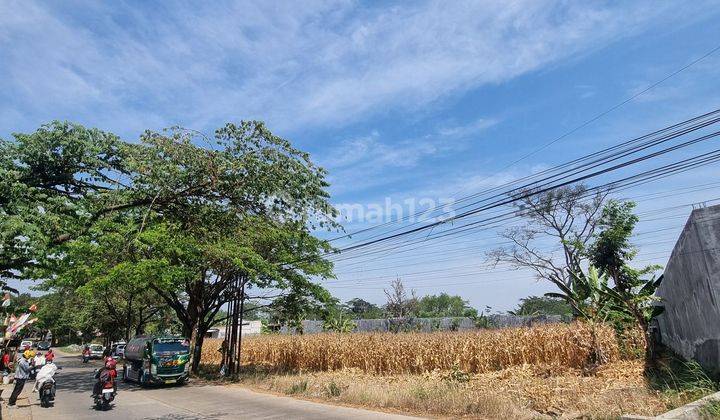 CEPAT TANAH HM 3094m2 UNTUNG SUROPATI SEMARANG LEBAR 68 PANJANG 45 , COCOK BUAT BANGUN GUDANG U/KAN/ , BANGUN RUKO U/ , LOKASI SUDAH RAMAI DAN AKAN MAKIN RAMAI ,LOKASI SEMARANG BARAT YANG TDK TERJANGKAU BANJIR 2