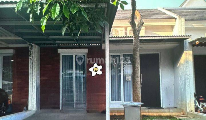 Dijual Rumah Dekat Kampus
 Upj Bintaro Tangerang Selatan 1