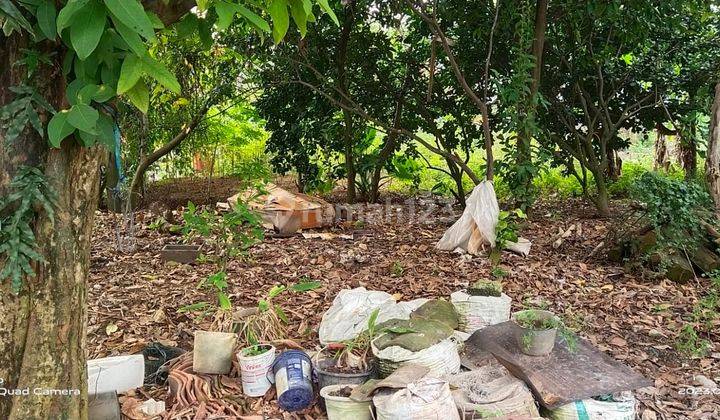 Juql BU Tanah di dekat Jl Raya Serpong bisa untuk hunian dan kost 3