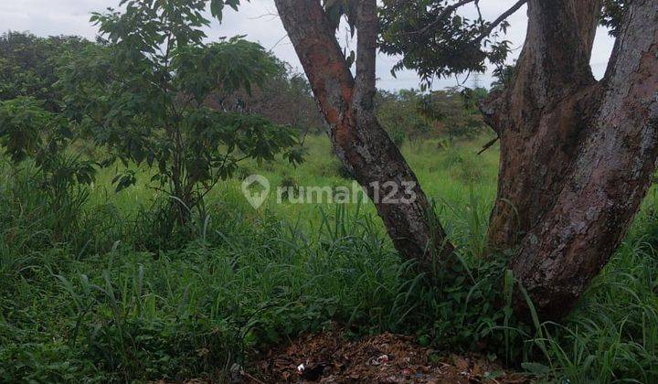 Tanah Murah 19,3 Ha Cimanggis Bojong Gede Bogor  1