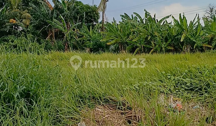 Tanah Shm 3.750.m2 Murah Sumberjaya Tambun Selatan Bekasi