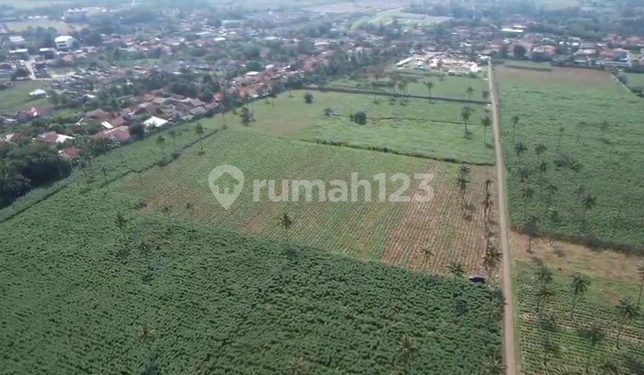 Cheap Land Ready to Build Strategic Location 9.7 Ha Ciseeng Bogor Cheap Land Ready to Build Strategic Location 9.7 Ha Ciseeng Bogor
