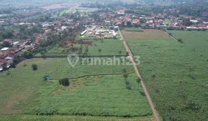 Cheap Land Ready to Build Strategic Location 9.7 Ha Ciseeng Bogor Cheap Land Ready to Build Strategic Location 9.7 Ha Ciseeng Bogor