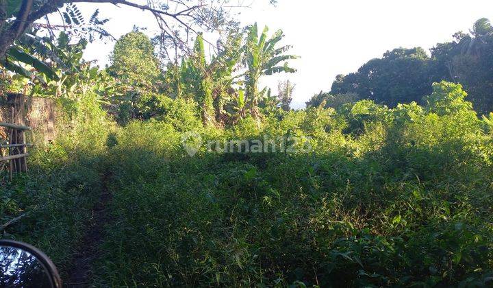 Dijual Tanah Steategis Di Sukur Airmadidi Minut 1