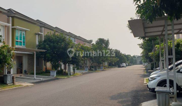 Disewakan Cepat Cluster Thomson Scientia Garden Bagus Siap Huni 2