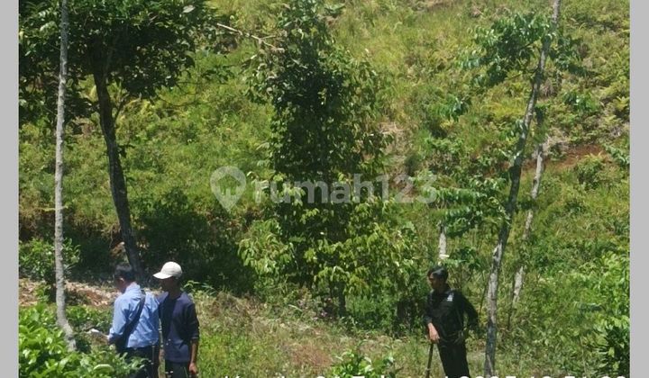 Dijual Kavling di Sukanagara Cianjur untuk Investasi dan Usaha