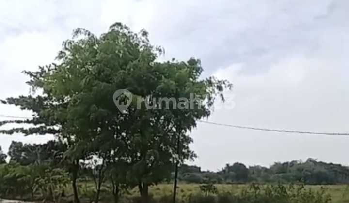 For Sale 10 Hectares Strategic Industrial Zone Land For Sale 10 Hectares Strategic Industrial Zone Land