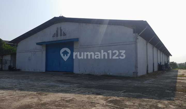 Dijual Cepat! Pabrik Strategis, Harga Bisa Nego! Dijual Cepat! Pabrik Strategis, Harga Bisa Nego!
