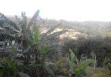 Tanah Kavling di Awiligar Bandung SHM Lokasi Lingkungan Sejuk  1