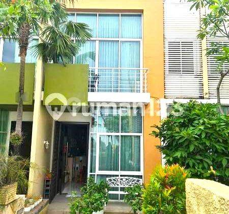 Rumah Tomang. Townhouse De Oaze. 3 Lantai. 6x15. View Koi Garden 2