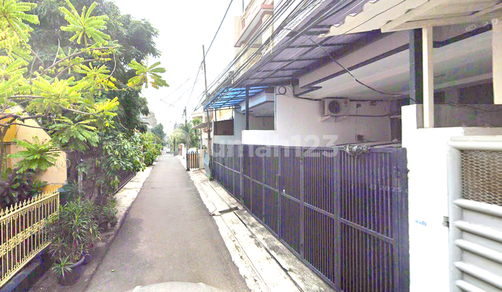 Rumah Tomang. 3 Lantai. 5X17. Jalan 2 Mobil. Semi Furnish. Siap Huni 2