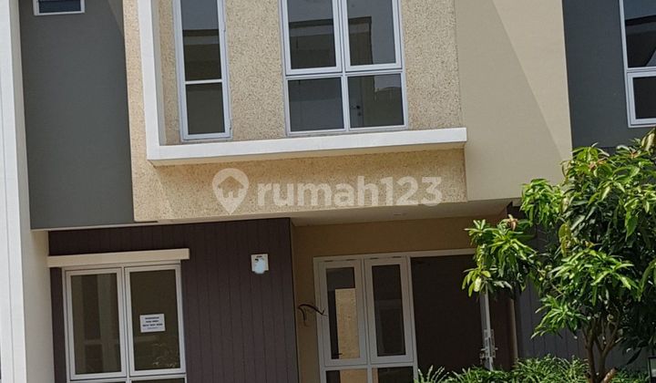 Rossini At Symphony. 8x12 Standard. Empty. Rossini At Symphony. 8x12 Standard. Empty.