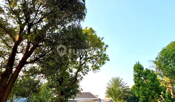 Dijual Rumah Hitung Tanah 25X80 1980M Harapan Baru Bekasi Utara Dijual Rumah Hitung Tanah 25X80 1980M Harapan Baru Bekasi Utara